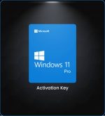 Windows 11 Pro[OEM] - Image 2