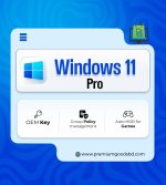 Windows 11 Pro[OEM]